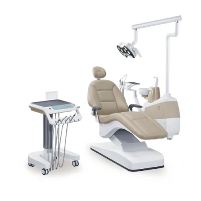 Fauteuil dentaire approuvé Ce et ISO de haut niveau, produits dentaires haut de gamme/prix des fauteuils dentaires Belmont/Instruments dentaires orthodontiques