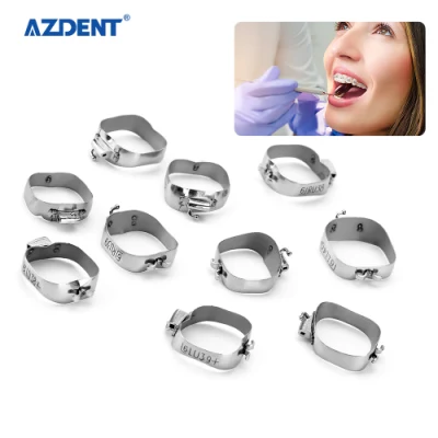 Azdent Dental Orthodontic 1ère Molaire Marques M