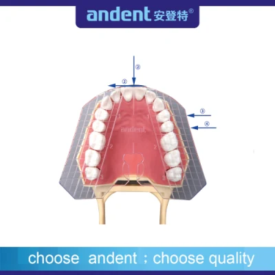 Outils de mesure orthodontiques auxiliaires, plaque de guidage dentaire pour usage dentaire